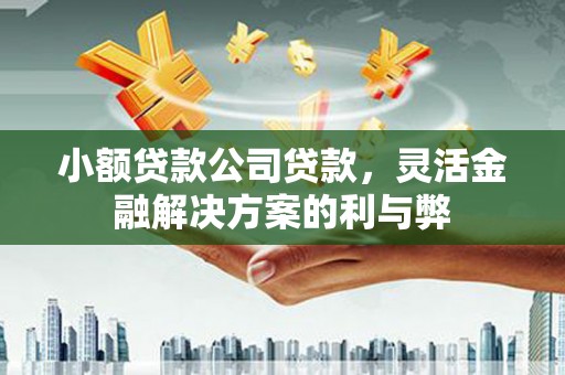 滴道小额贷款公司贷款，灵活金融解决方案的利与弊
